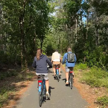 Un Toit Sur Le Bassin Vue Foret Lège-Cap-Ferret